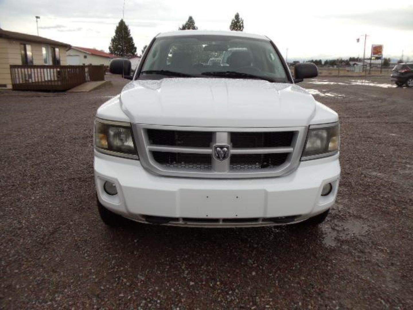 2010 White /Grey Dodge Dakota Bighorn (1D7RW3GP2AS) with an 4.7L V8 SOHC 16V FFV engine, 5-Speed Automatic transmission, located at 5465 Highway 2 W., Columbia Falls, MT, 59912, (406) 892-4407, 48.352188, -114.240929 - 4.7L V8 Cruise AC CD Tilt wheel Towing Power windows door locks and mirrors Brand new tires. - Photo#1