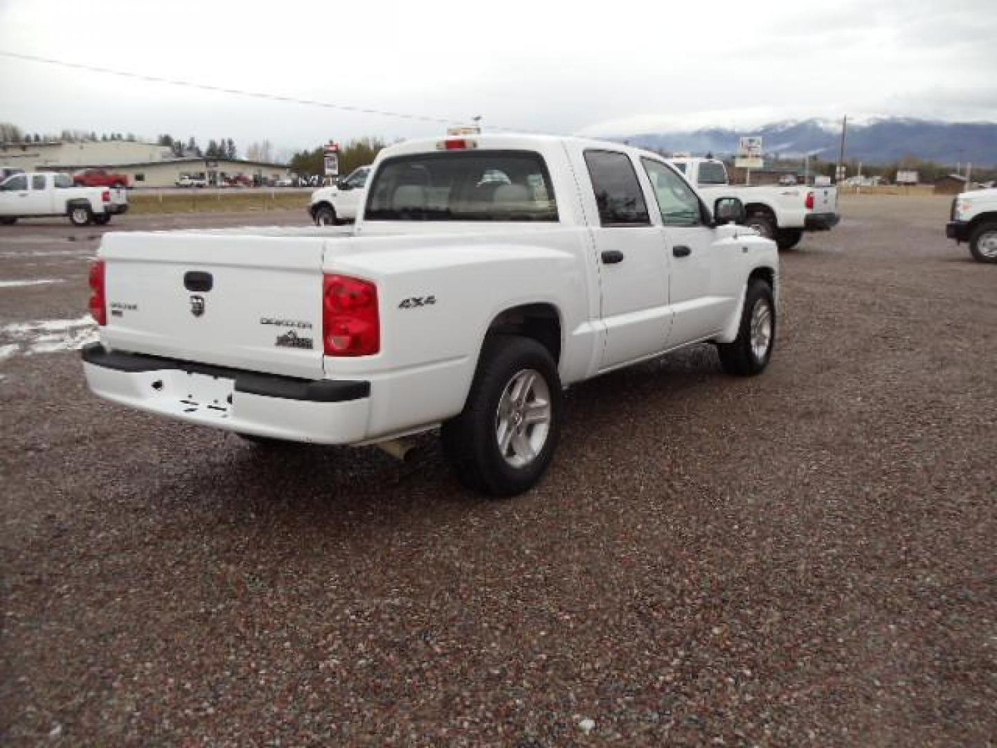 2010 White /Grey Dodge Dakota Bighorn (1D7RW3GP2AS) with an 4.7L V8 SOHC 16V FFV engine, 5-Speed Automatic transmission, located at 5465 Highway 2 W., Columbia Falls, MT, 59912, (406) 892-4407, 48.352188, -114.240929 - 4.7L V8 Cruise AC CD Tilt wheel Towing Power windows door locks and mirrors Brand new tires. - Photo#8