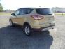 2015 Gold /Tan Ford Escape SE 4WD (1FMCU9G92FU) with an 2.0L L4 DOHC 16V engine, 6-Speed Automatic transmission, located at 5465 Highway 2 W., Columbia Falls, MT, 59912, (406) 892-4407, 48.352188, -114.240929 - Photo#4