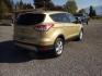 2015 Gold /Tan Ford Escape SE 4WD (1FMCU9G92FU) with an 2.0L L4 DOHC 16V engine, 6-Speed Automatic transmission, located at 5465 Highway 2 W., Columbia Falls, MT, 59912, (406) 892-4407, 48.352188, -114.240929 - Photo#6