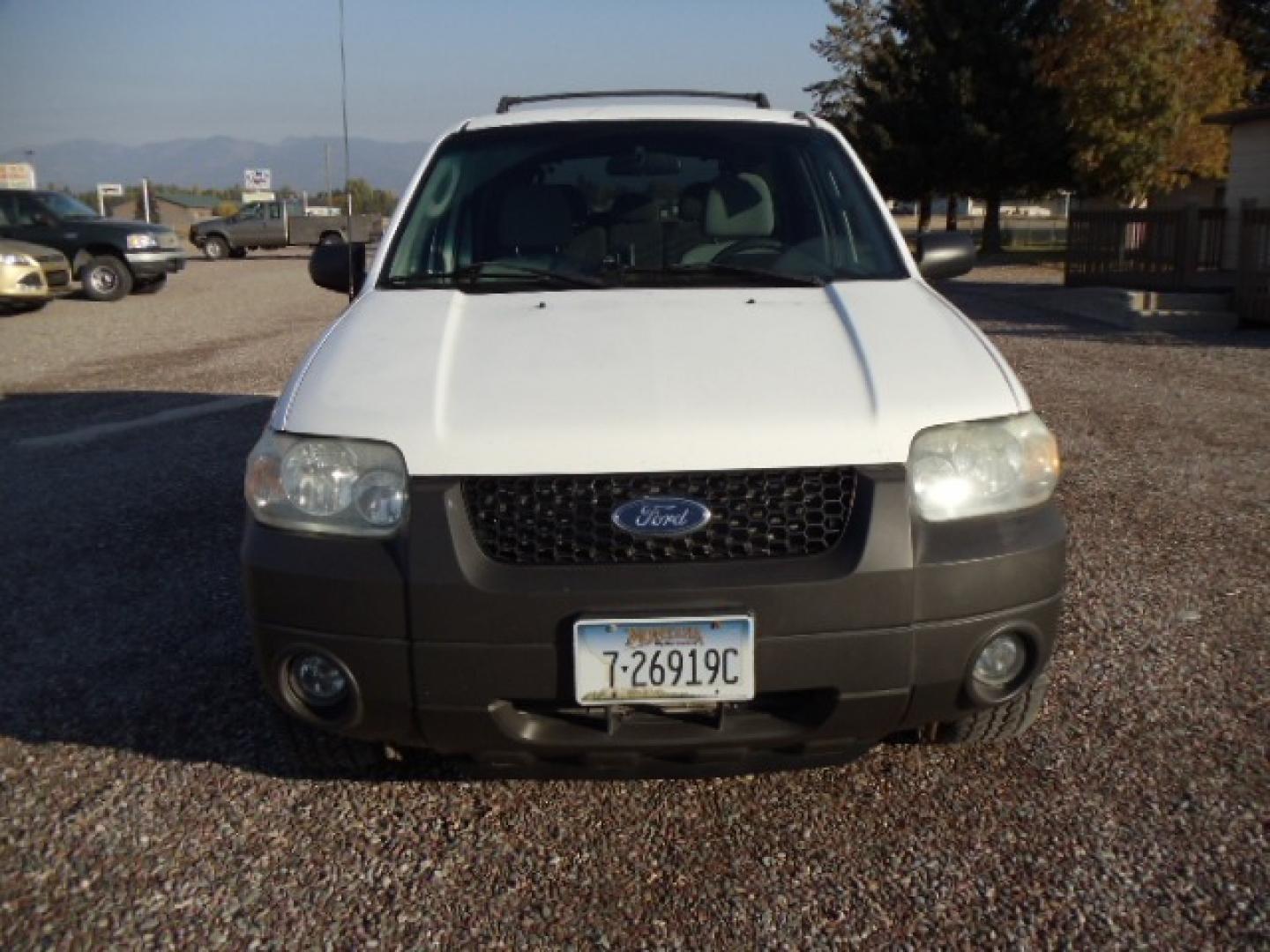 2006 White /Gray Ford Escape Hybrid (1FMYU96H46K) with an L4, 2.3L; AC engine, CVT Automatic transmission, located at 5465 Highway 2 W., Columbia Falls, MT, 59912, (406) 892-4407, 48.352188, -114.240929 - Cruise control AC CD Tilt wheel Power windows door locks and mirrors Brand new tires - Photo#1